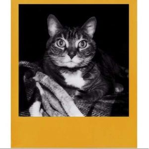 600 Film (Polaroid Camera)